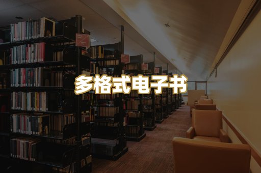 多格式电子书